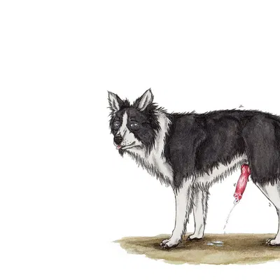 created by kola (artist)