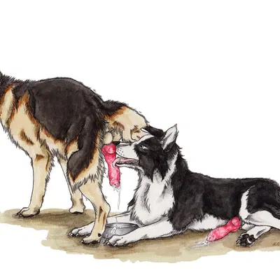 created by kola (artist)