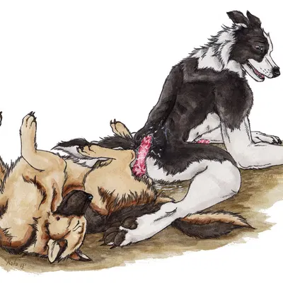 created by kola (artist)