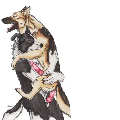 created by kola (artist)