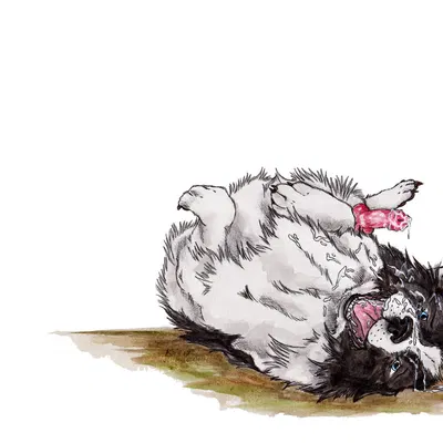 created by kola (artist)