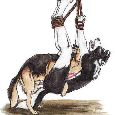 created by kola (artist)