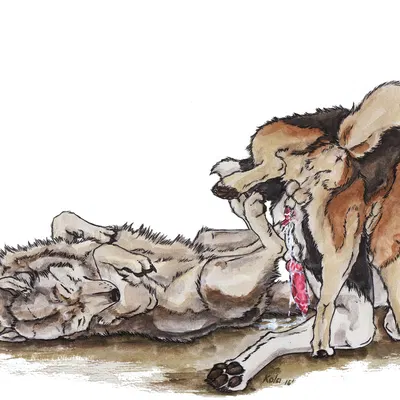 created by kola (artist)