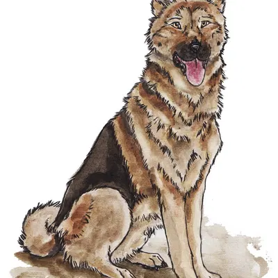 created by kola (artist)