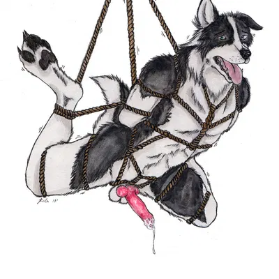 created by kola (artist)