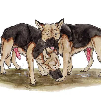 created by kola (artist)