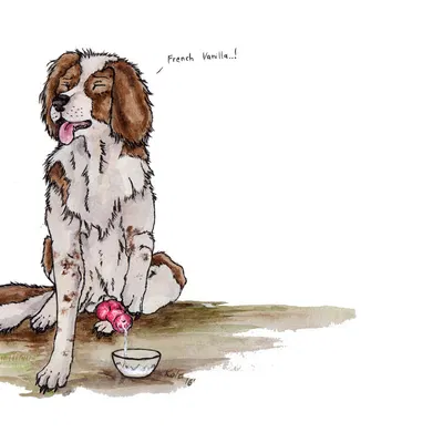 created by kola (artist)