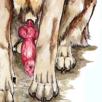 created by kola (artist)