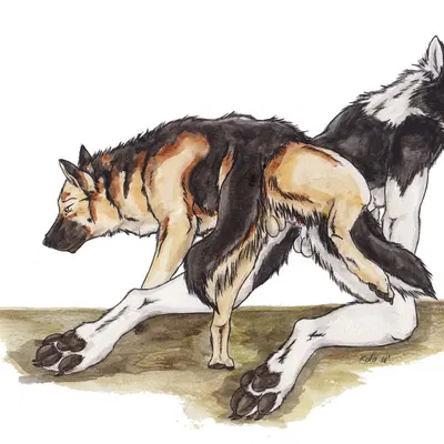 created by kola (artist)