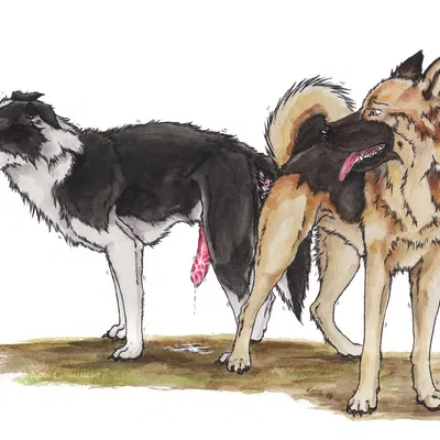 created by kola (artist)