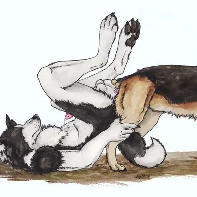 created by kola (artist)