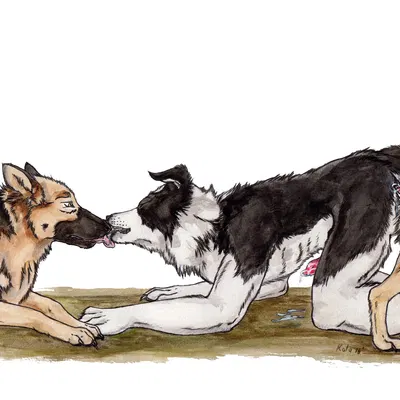 created by kola (artist)