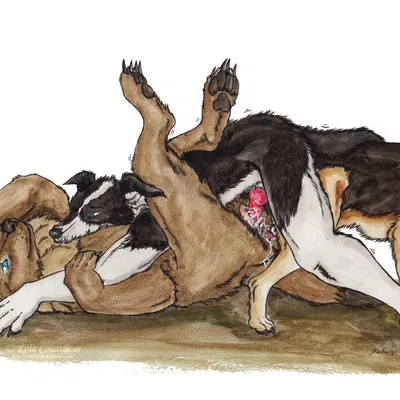 created by kola (artist)