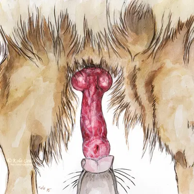 created by kola (artist)