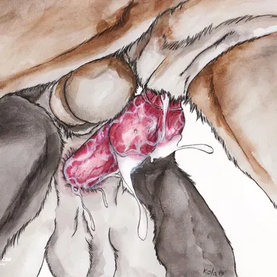 created by kola (artist)