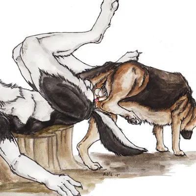 created by kola (artist)