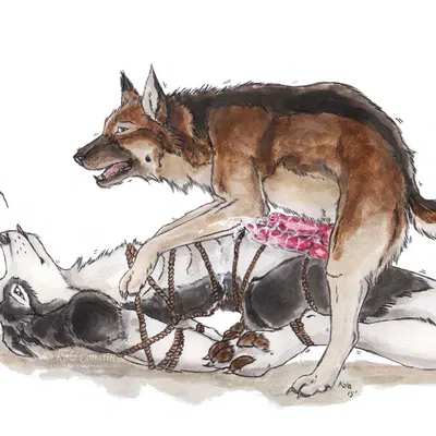 created by kola (artist)