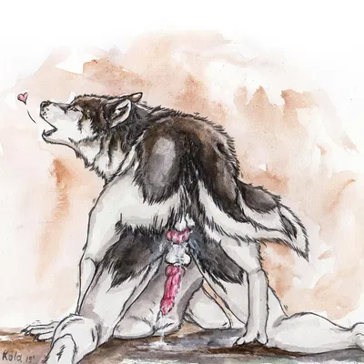 created by kola (artist)