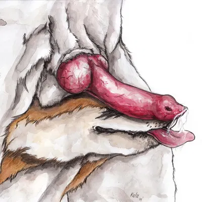 created by kola (artist)