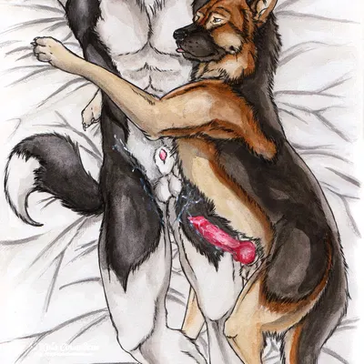 created by kola (artist)