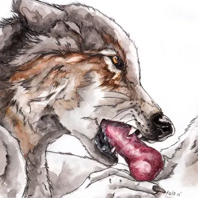 created by kola (artist)