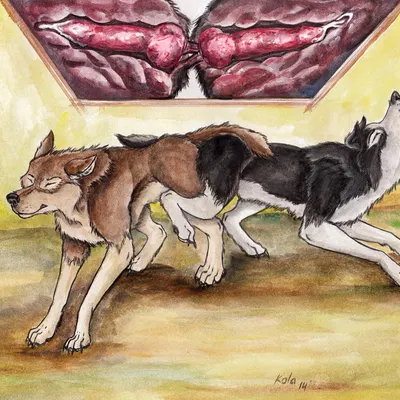 created by kola (artist)