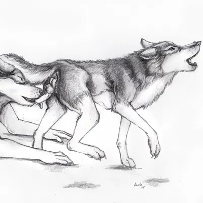 created by kola (artist)