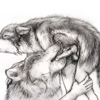 created by kola (artist)