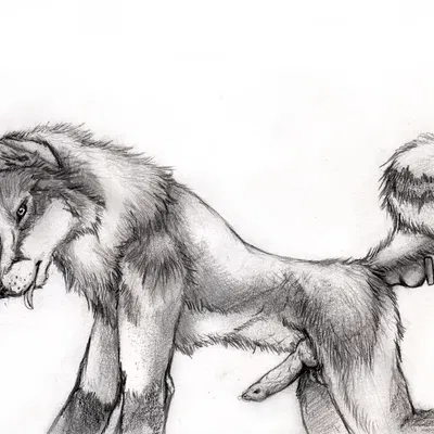 created by kola (artist)