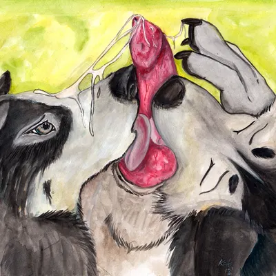 created by kola (artist)