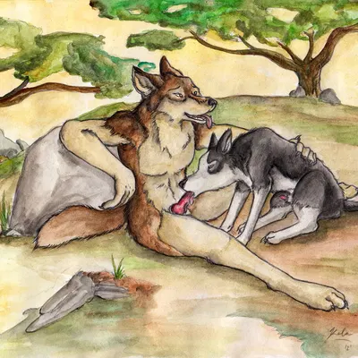 created by kola (artist)