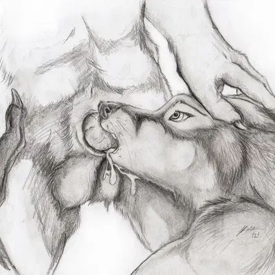 created by kola (artist)