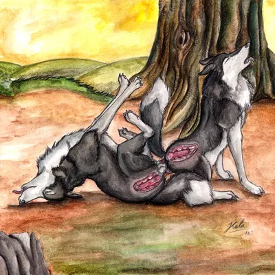 created by kola (artist)