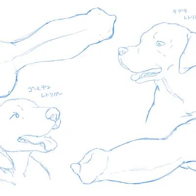 created by kouhaku773