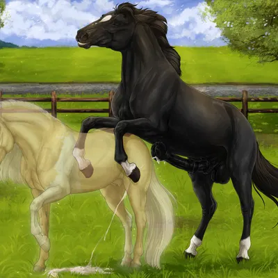 created by scarlanya