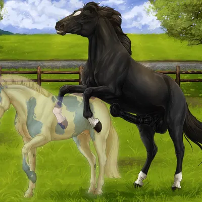 created by scarlanya