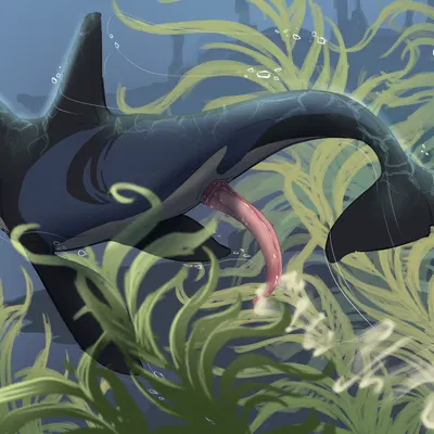 created by shikyotis