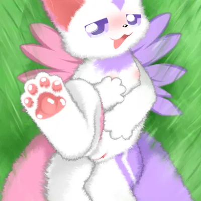 created by shiningcanc