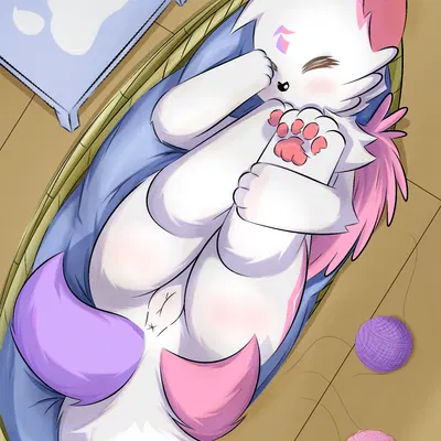 created by shiningcanc