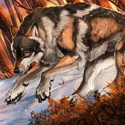 created by venlightchaser