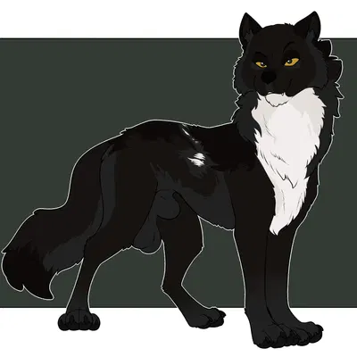 echo (wolffylegend) created by psy101