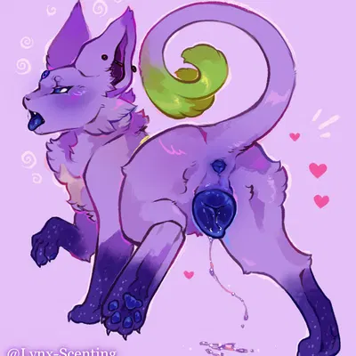 ecliptc antumbra, fan character (nintendo, pokemon) created by lynx scenting