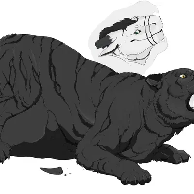 exile (exilefelkin), rhymald (rhymald) created by emil-gee