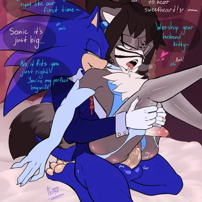 fan character, sonic the hedgehog (sega, sonic the hedgehog (series)) created by aoibeast