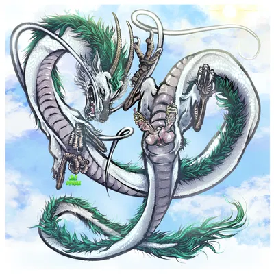 haku (spirited away) (ghibli, mythology) created by wolfgrease