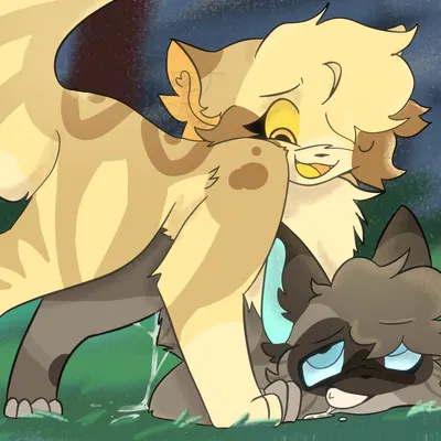 hawkfrost (warriors), mothwing (warriors) (warriors (book series)) created by tempestpaw