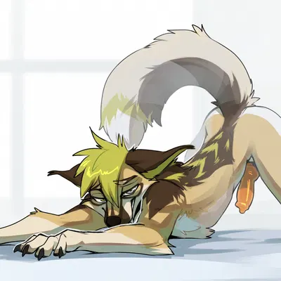 heina (wolfyportal) created by drmax