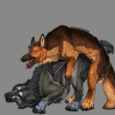 hiona, thomas (ragnar9th) created by venlightchaser