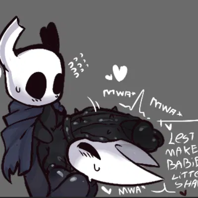 hornet (hollow knight), the knight (hollow knight) (hollow knight (franchise), team cherry) created by mat zeus