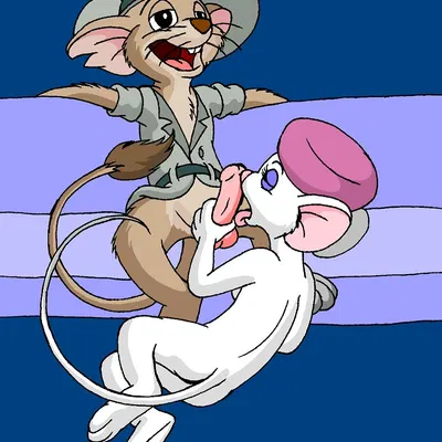 jake (the rescuers), miss bianca (the rescuers) (disney, the rescuers (disney)) created by omatic